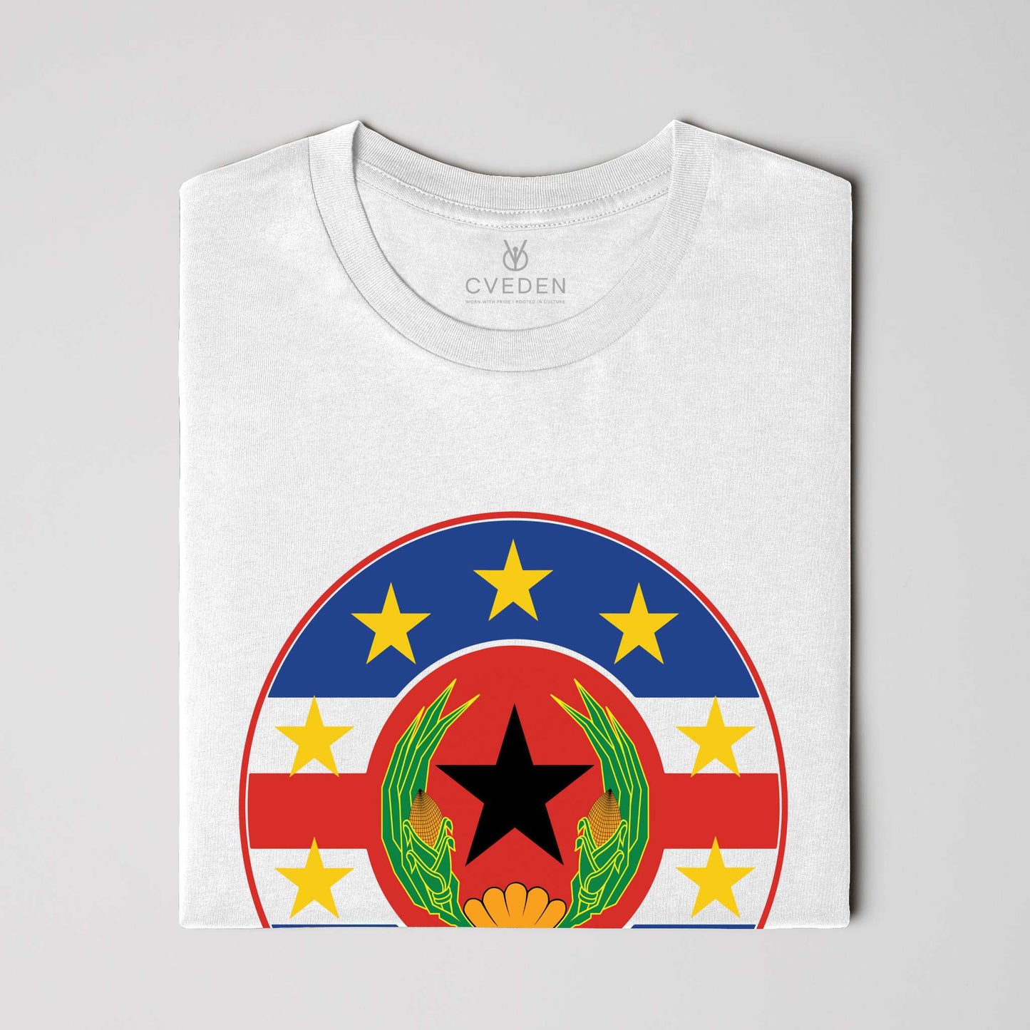 FLAGS PF CV - Unisex T-Shirt
